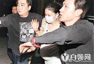 狗仔爆料怀孕视频播放全集,怀孕视频全集幕后真相大揭秘 第1张 狗仔爆料怀孕视频播放全集,怀孕视频全集幕后真相大揭秘 第1张